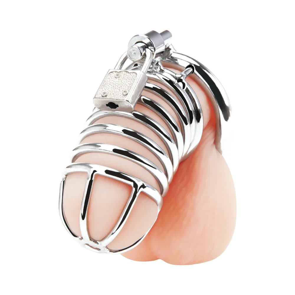 Blue Line Deluxe Chastity Cage Silver thumbnail