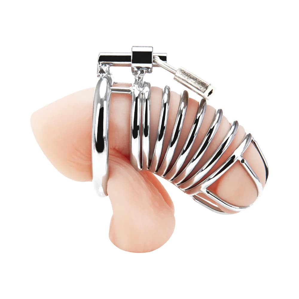 Blue Line Deluxe Chastity Cage Silver thumbnail