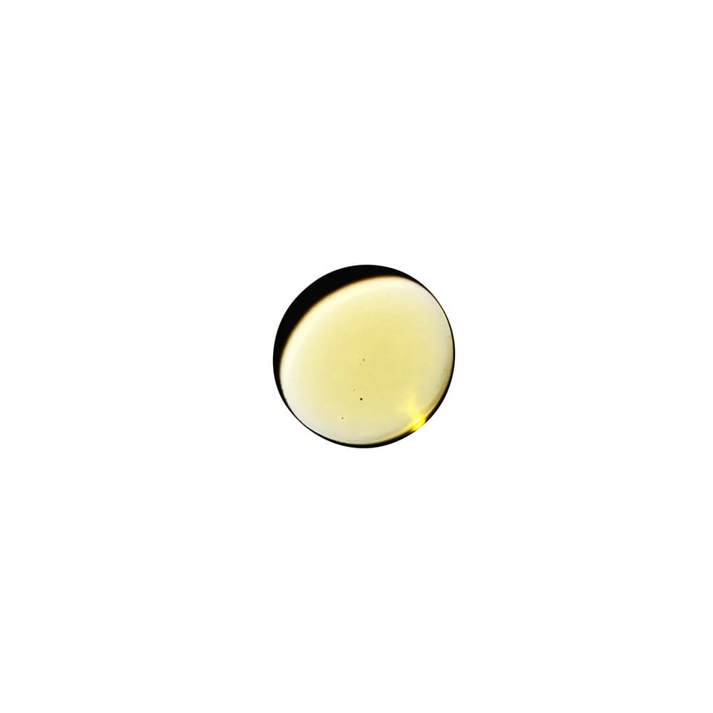 Dame Sex Oil Massage Oil 2 oz. thumbnail 3
