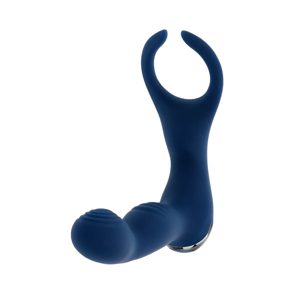 Zero Tolerance By All Means Rechargeable Prostate Vibrator with Remote Silicone Blue thumbnail 4