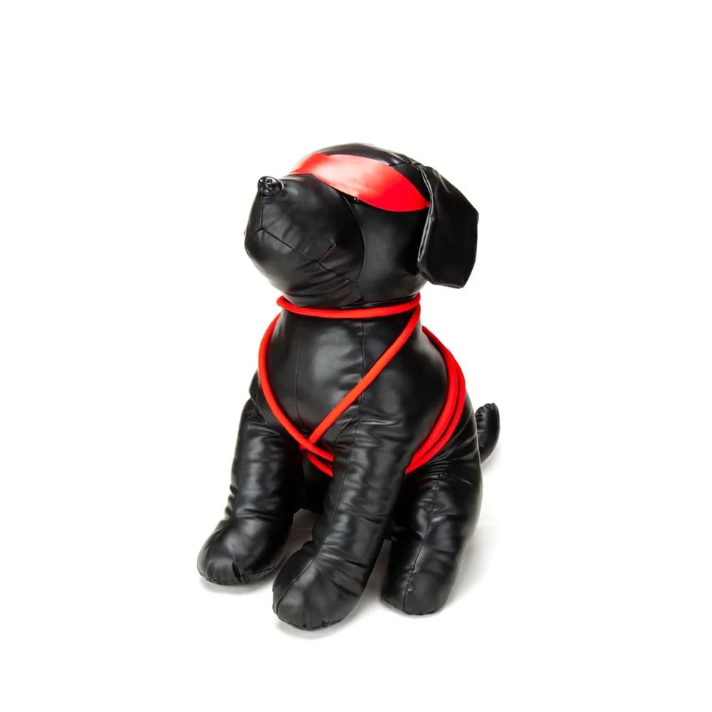 Prowler RED Roped Up Rover L thumbnail 2