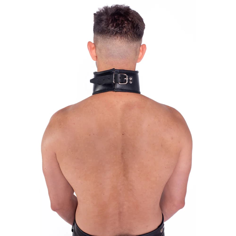 Prowler RED Leather Posture Collar S/M thumbnail 3