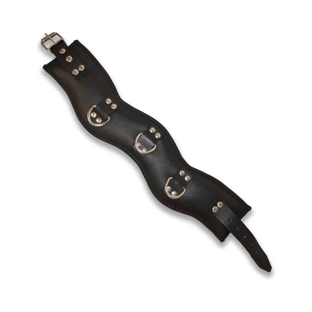 Prowler RED Leather Posture Collar S/M thumbnail 4