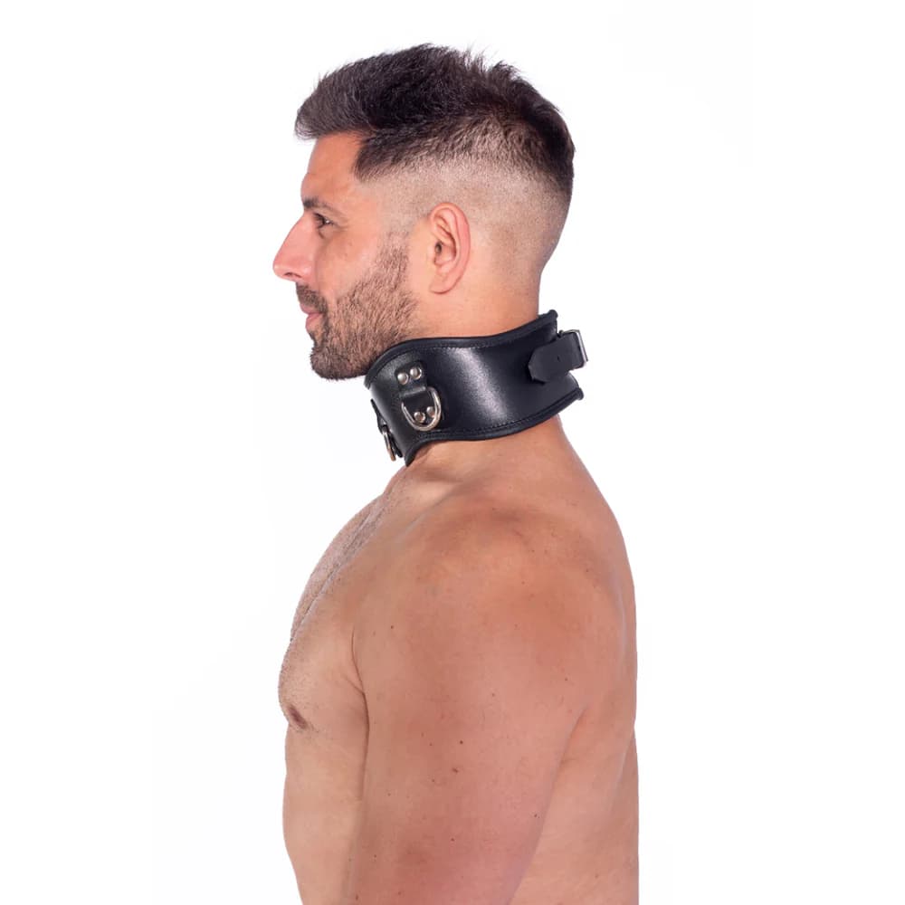 Prowler RED Leather Posture Collar L/XL thumbnail 2