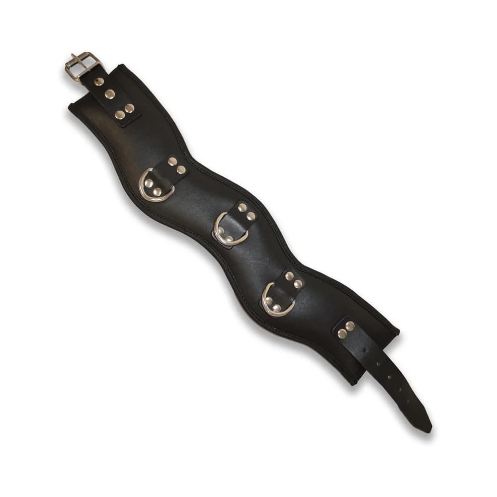 Prowler RED Leather Posture Collar L/XL thumbnail 4