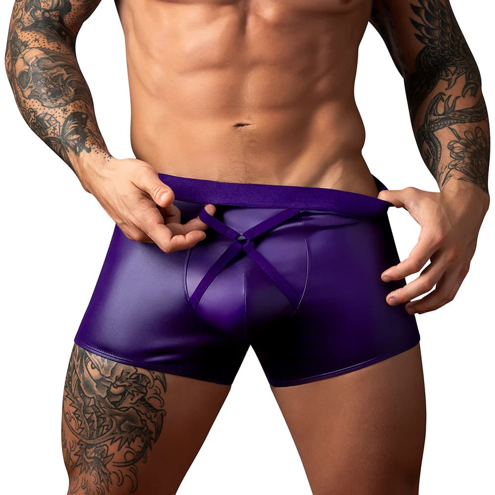Male Power Eggplant Crossover Short Plum L thumbnail 2