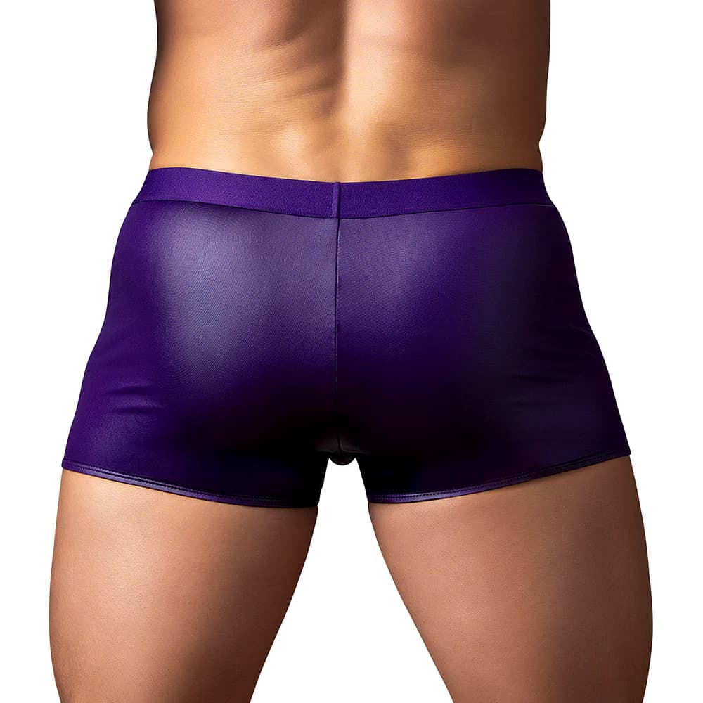 Male Power Eggplant Crossover Short Plum L thumbnail 3