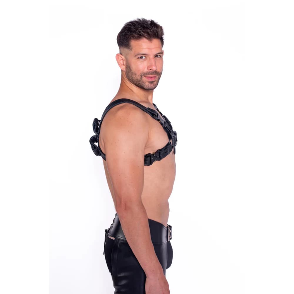 Prowler RED Bull Harness Black with Metal Fittings S thumbnail 3