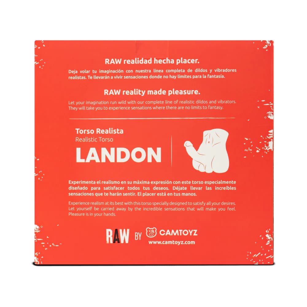 Camtoyz Raw Realistic Torso Landon thumbnail 8