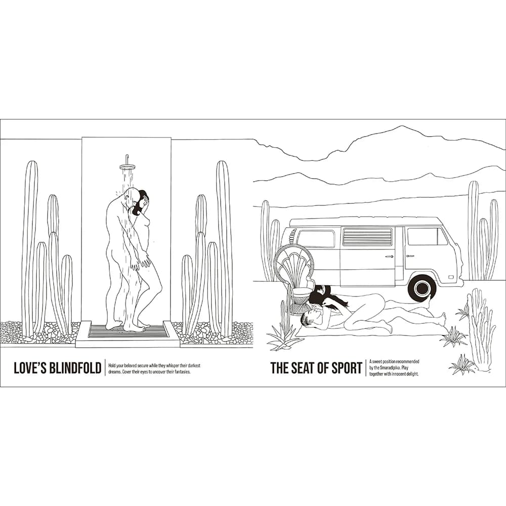 The Kama Sutra Coloring Book: For Maximum Pleasure and Relaxation thumbnail 5